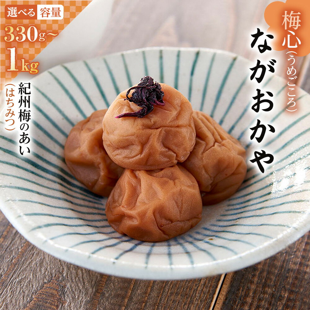 【ふるさと納税】梅心（うめごころ）ながおかや 紀州梅のあい（はちみつ）330g・650g・1kg | 梅干し 和歌山県 九度山町 和歌山 ふるさと 納税 楽天ふるさと 支援 支援品 返礼品 お礼の品 名産 名産品 特産 特産品 グルメ お取り寄せ 梅 うめ ウメ はちみつ