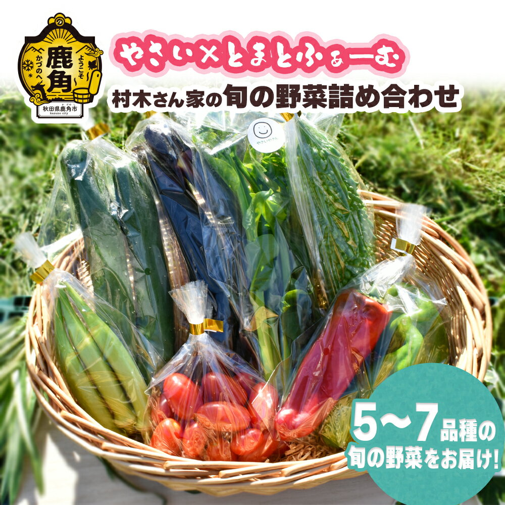 【ふるさと納税】村木さん家の旬の野菜詰め合わせ 5～7種 新鮮 旬 県産野菜 国産野菜 お中元 お歳暮 母の日 父の日 グルメ ギフト 故郷 秋田 あきた 鹿角市 鹿角 送料無料 【やさい×とまとふぁーむ】