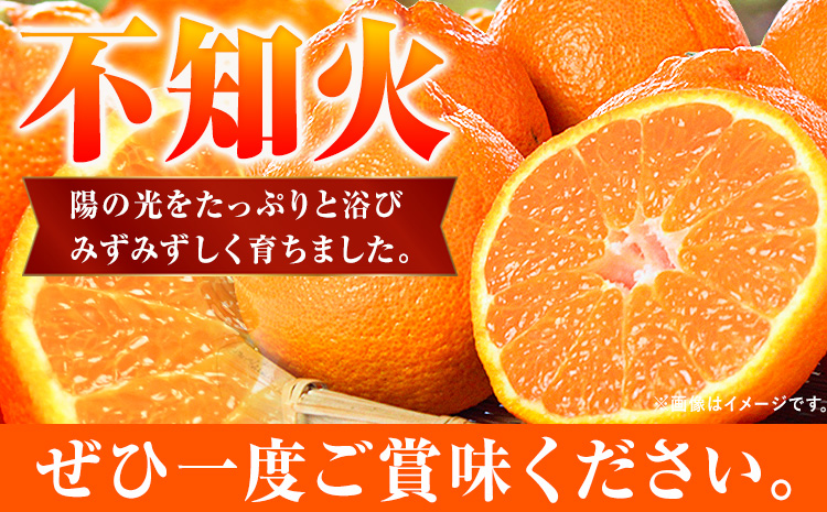 【先行予約】紀州有田産不知火(しらぬひ) 約5kg  株式会社魚鶴《2026年2月上旬-3月中旬頃出荷》 和歌山県 日高町 不知火 しらぬい 柑橘 ご家庭用
