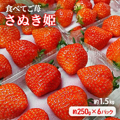【ふるさと納税】食べてご苺（さぬき姫）約1.5kg（約250g×6パック） 果物類 いちご イチゴ 観音寺産 オリジナル品種 紅色 高設式養液栽培 プレゼント 　お届け：2026年1月下旬～5月下旬