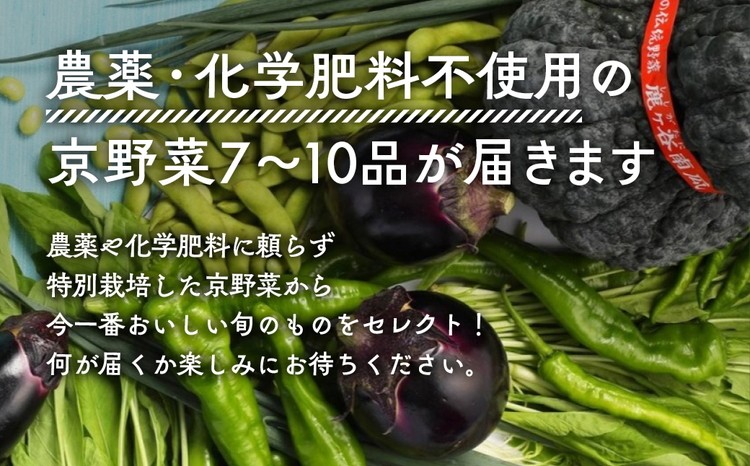 《アスカ有機農園》（栽培期間中農薬・化学肥料不使用）旬の京野菜セットS