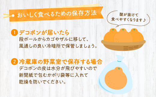 AA075.【昨年も大人気】デコポン（3kg程度）／2027年2月～3月配送