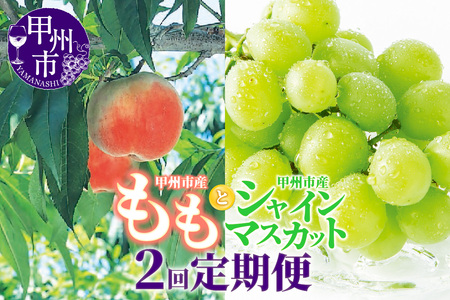 【定期便】甲州市フルーツ定期便 桃 約2kg 6～8玉・シャインマスカット 約1.2kg 2～3房【2025年発送】（OGN）C7-1801 【桃 もも モモ シャインマスカット 葡萄 ぶどう 令和7年発送 期間限定 山梨県産 甲州市 フルーツ 果物】