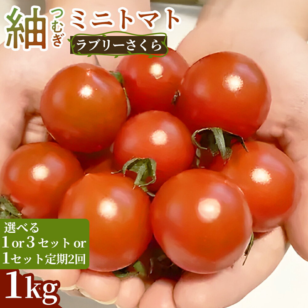 【ふるさと納税】《先行予約》紬（つむぎ）ミニトマト（ラブリーさくら）　1kg 1セット 3セット 定期便 新鮮野菜 農家直送 やさい サラダ デザート お弁当 朝食 そのまま食べる おうちごはん お取り寄せ 産地直送 贈り物 手土産 愛知県 豊橋市
