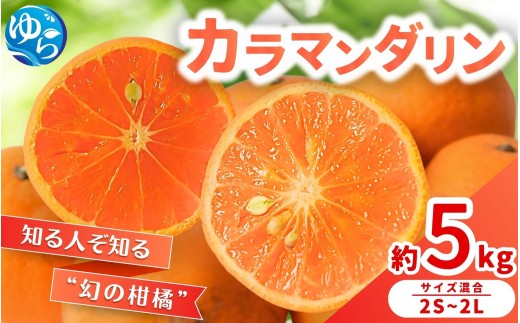 
                   カラマンダリン 5kg / くだもの 甘い みかん 柑橘 果物 和歌山 ※2027年3月下旬～4月上旬頃に順次発送予定【nktn015-r-5】
                