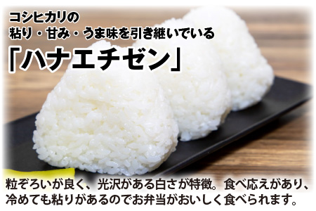 【先行予約】【令和8年産・新米】定期便 ≪3ヶ月連続お届け≫ ハナエチゼン20kg×3回 計60kg （白米）【2026年9月上旬以降順次発送予定】 [K-8909_01]