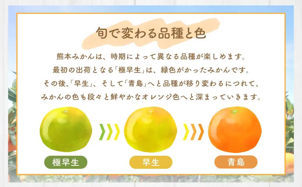 ＜ R8年熊本地震復興支援 ＞熊本県産 みかん 【手選別まごころ選果】 約3kg サイズ 2L～S 蜜柑 ミカン フルーツ 果物 くだもの 柑橘 熊本産 九州産【2026年10月下旬～2027年2月上