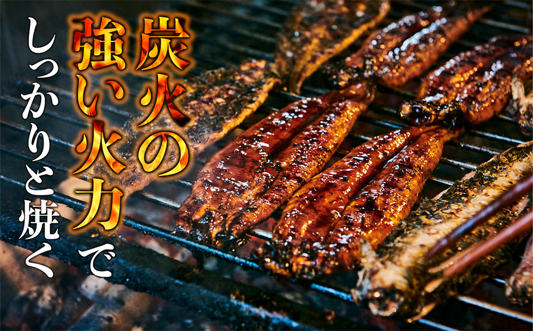 【3ヶ月定期便】創業300年 うなぎ料理専門店 元祖本吉屋 特製国産うなぎの丼ぶり（2人前）