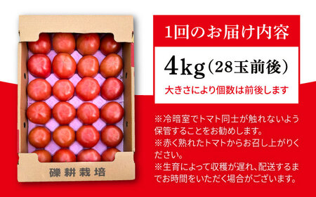 【先行受付】【全3回定期便】糸島産 絶品トマト かれん (4kg28玉前後) 【2025年12月上旬以降順次発送】糸島市 / シーブ 野菜 とまと 大玉トマト [AHC066]