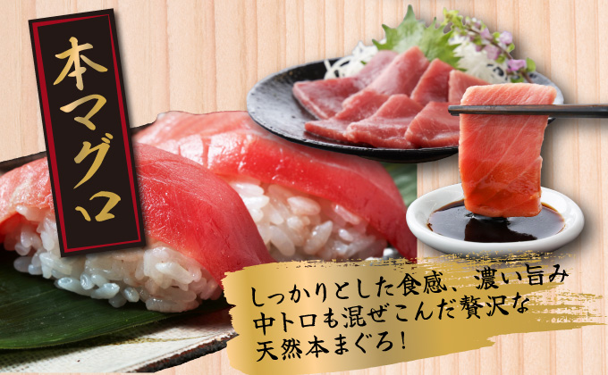 【３回定期便】３種のまぐろお手軽グルメセット６００ｇ_マグロ セット メバチマグロ 中トロ 柵 サク スライス 切落し 天然 刺身 まぐろたたき 食べ比べ 鮪 高知 冷凍 小分け 便利 訳あり 人気 