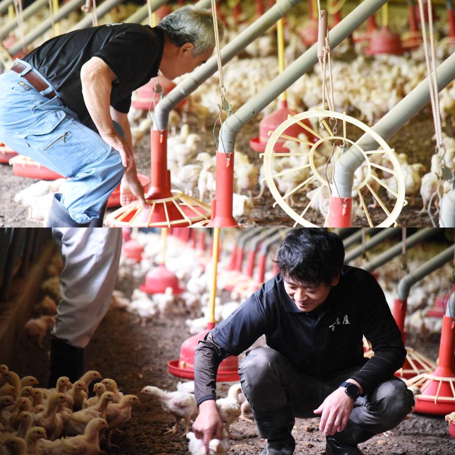 ＜百姓屋＞伊万里ヤマンドリ　からだ想いセット