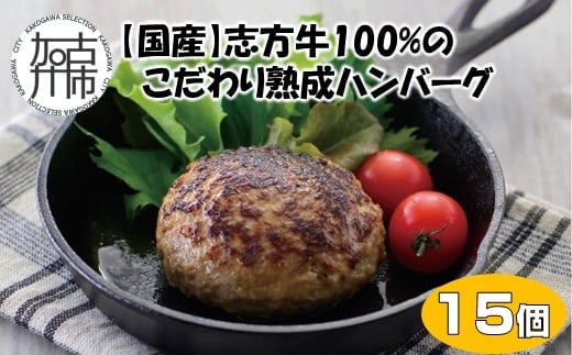 
【国産】志方牛100%のこだわり熟成ハンバーグ150g×15個《 ハンバーグ 国産 牛肉 100% 牛 こだわり セット 冷凍 肉 惣菜 お取り寄せ グルメ おかず ギフト 送料無料 》【2403I05950】
