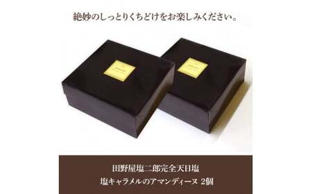 ★田野屋塩二郎完全天日塩★ 塩キャラメルのアマンディーヌ（ホール約12cm）×2ホール