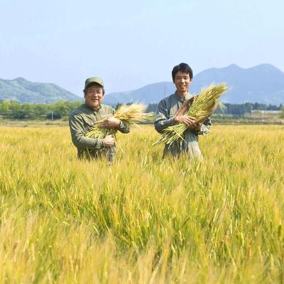 ふるさと納税 南九州市 おふくろ調味料セット |  | 03
