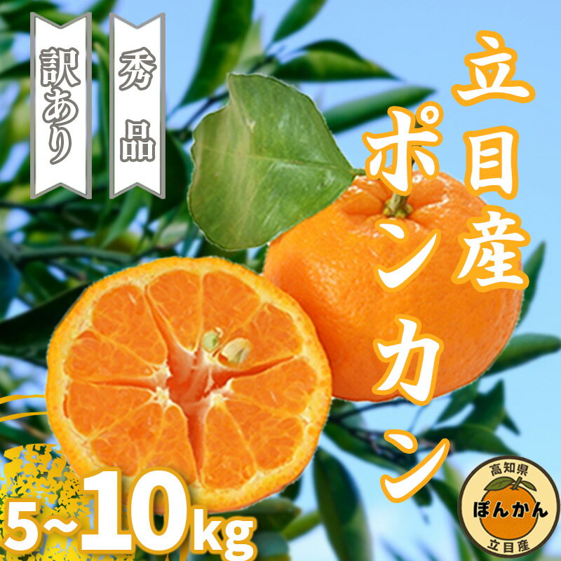 【ふるさと納税】 ぽんかん 訳あり 秀品 5kg 10kg 早期予約 家庭用 贈答用 立目産 サイズ混合 ブランド 柑橘 2026年 1月中旬 順次発送 立目 果物 フルーツ ふるさと納税 高知県 須崎市