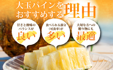 2026年【先行予約】《2026年7月以降順次発送》黄金パイン大玉3玉入 計約4.5kg【 産地直送 沖縄 石垣 フルーツ パイナップル パイン 黄金パイン 】 SI-052