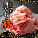 【ふるさと納税】 四万十ポークスライス 300g~3kg | 300g ごとの小分け 豚肉 豚バラ肉 小間切れ スライス 切り落とし 訳アリ 訳あり 冷凍 真空パック 簡単調理 細切れ 大容量 肉 高知県 須崎市