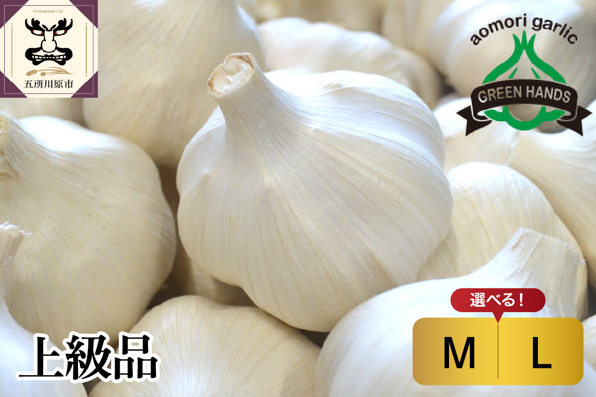 
            にんにく　青森県産（上級品）700gまたは600g【 Ｍ／Ｌ：サイズが選べる】 ホワイト六片 にんにく 青森 五所川原 大蒜 ニンニク 青森県産にんにく
          