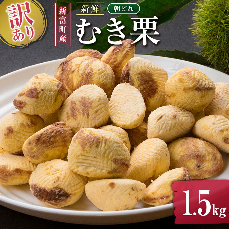 【ふるさと納税】＜訳あり＞期間限定 国産 新鮮朝どれ（むき栗）1.5kg 産地直送 お取り寄せ 宝珠栗 宮崎県新富町産