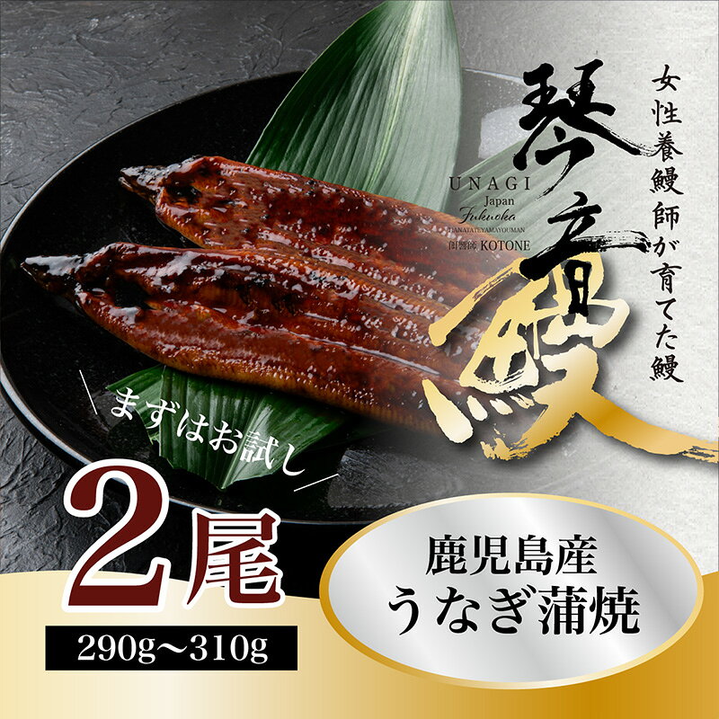 【ふるさと納税】国産 うなぎ 蒲焼き（鹿児島県産） 2尾 (290〜310g) 【国産100％ 鰻 ウナギ 蒲焼 土用丑の日 丑の日 冷凍 魚介 海鮮 おかず お祝い ご褒美 贅沢 おすすめ 人気 花立山養鰻 福岡県 筑前町 HY001】