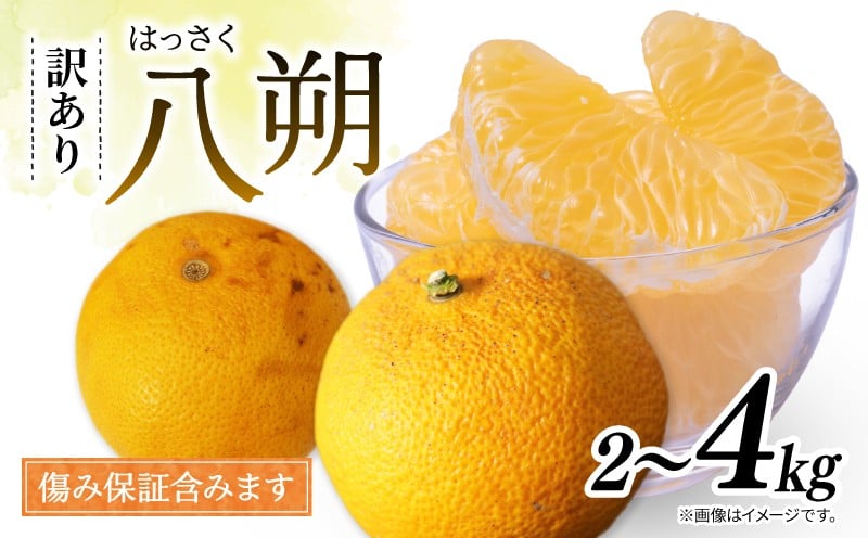 
            訳あり 八朔 約2kg 約4kg  はっさく 【３月～順次発送】 南知多町産  ＜2026年発送先行予約＞ 柑橘 果物 くだもの 国産 果実 フルーツ デザート 家庭用  新鮮 人気 おすすめ 愛知県 南知多町 ふるさと納税みかん ふるさと納税柑橘 愛知県産 南知多町産 ジューシー 食べ物 ビタミンC 美肌効果 食物繊維 むくみ予防 美味しい 傷 旬のフルーツ 旬のくだもの
          