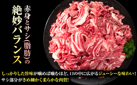 牛肉 黒毛和牛 切り落とし 1kg《30日以内に出荷予定(土日祝除く)》 岡山県 浅口市 牛 牛肉 和牛 牛丼 カレー 小分け 小分けパック 250g 送料無料