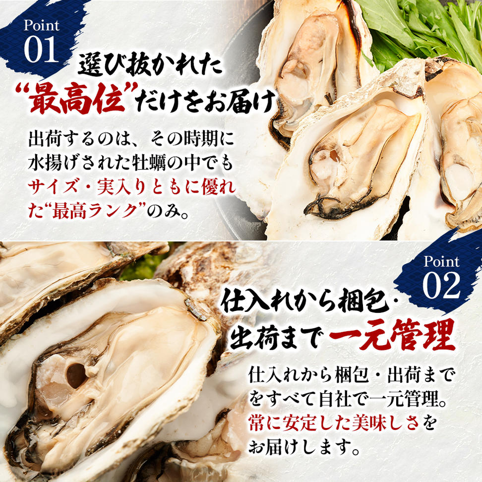 訳あり 北海道 厚岸産  殻付き 牡蠣 350g 【光輝】 [ 魚貝類 生牡蠣 海鮮 海の幸 生食用牡蠣 生食用 生食用殻付き牡蠣 濃厚 甘み  オイスター ]