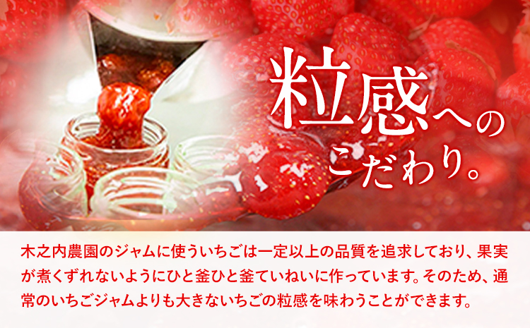 果実ぎっしり！木之内農園の手作りいちごジャム 2kg《30日以内に出荷予定(土日祝除く)》いちご ---isms_kinonsb_30d_24_16000_2kg---