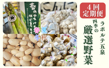 【4回定期便】ラポルテ五泉四季の厳選野菜 新潟県 まるっと五泉プロジェクトFunSpace株式会社 |五泉市 野菜セット野菜セット