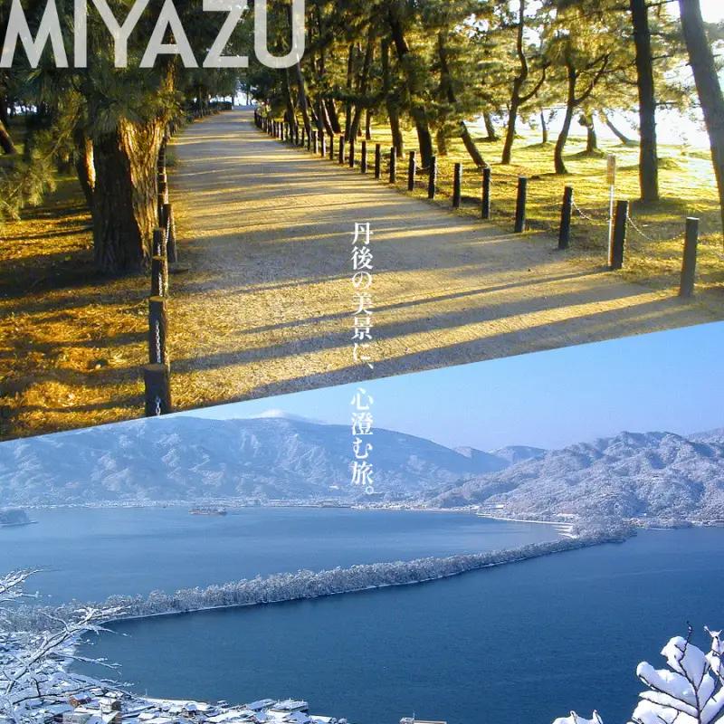 【京都ツアー】 宮津市 後から選べる旅行Webカタログで使える！旅行クーポン（150,000円分）碧海・松風・神話の地、天と地が繋がる旅へ。旅行券 宿泊券 飲食券 体験サービス券 myz00 myz1