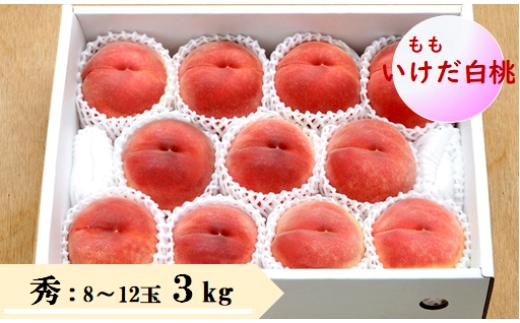 08-08-013　もも(いけだ白桃)3kg