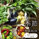 【ふるさと納税】季節の野菜BOX Mサイズ （7～8種類）【Farm Regalo】旬野菜 冷蔵 おまかせ [MDU002]