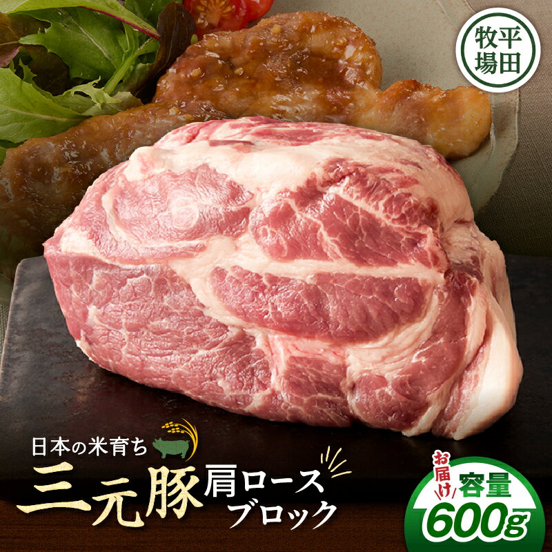 【ふるさと納税】 平田牧場 三元豚肩ロースブロック 600g 肉 お肉 にく 豚 豚肉 ブタ ぶた 三元豚 ロース 肩ロース ブロック 黒豚 バークシャー種 特別品種 便利 パック おかず 夕食 美味しい おいしい ジューシー 北海道 苫小牧市 おすすめ ランキング プレゼント ギフト
