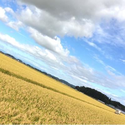 ふるさと納税 登米市 【令和7年産　宮城県登米市産】コシヒカリ(玄米)30kg |  | 01