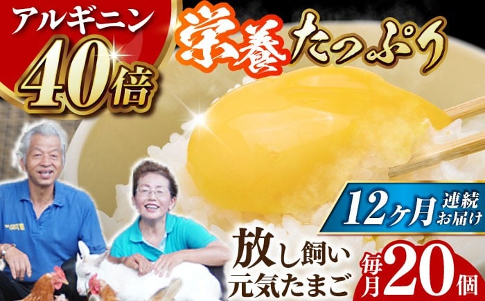 
【全12回定期便】 アルギニン 元気たまご 20個 自然栽培 【浅田峠自然塾】 [EA04] 卵 20個 たまご 鶏卵 玉子 国産 卵かけご飯 たまごかけご飯 すき焼き 目玉焼き 平飼い
