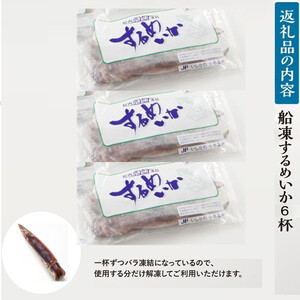 【復興支援】船凍するめいか 約1.2kg 6杯 ( 2杯 × ３袋 )小分け 個包装 刺し身 海産物 魚介類 獲れたて 急速冷凍 新鮮 刺身 さしみ 烏賊 人気 おすすめ ご当地グルメ カルパッチョ 