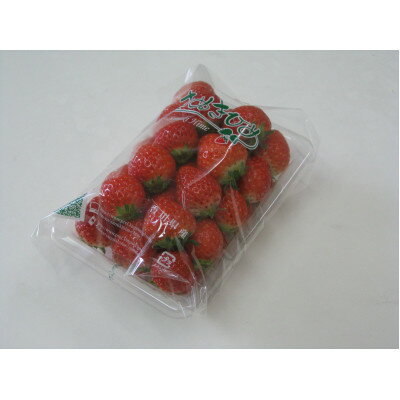 【ふるさと納税】【期間限定】可愛い丸々小粒さぬきひめいちご　約1kg【配送不可地域：離島・北海道・沖縄県・東北・信越、北陸】【1693502】