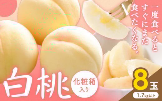 桃【2026年先行予約】白桃 8玉(1.7kg以上) 株式会社山博 (中本青果)《2026年7月上旬-8月上旬頃出荷》岡山県 浅口市 桃 もも フルーツ 旬 果物 国産 岡山県産 送料無料 冷蔵 化粧箱【配送不可地域あり】