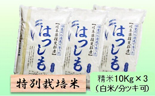 
										
										特別栽培米★精米30kg（白米/5分/7分ツキ可）【ハツシモ】 玄米は別に出品7分ヅキ
									