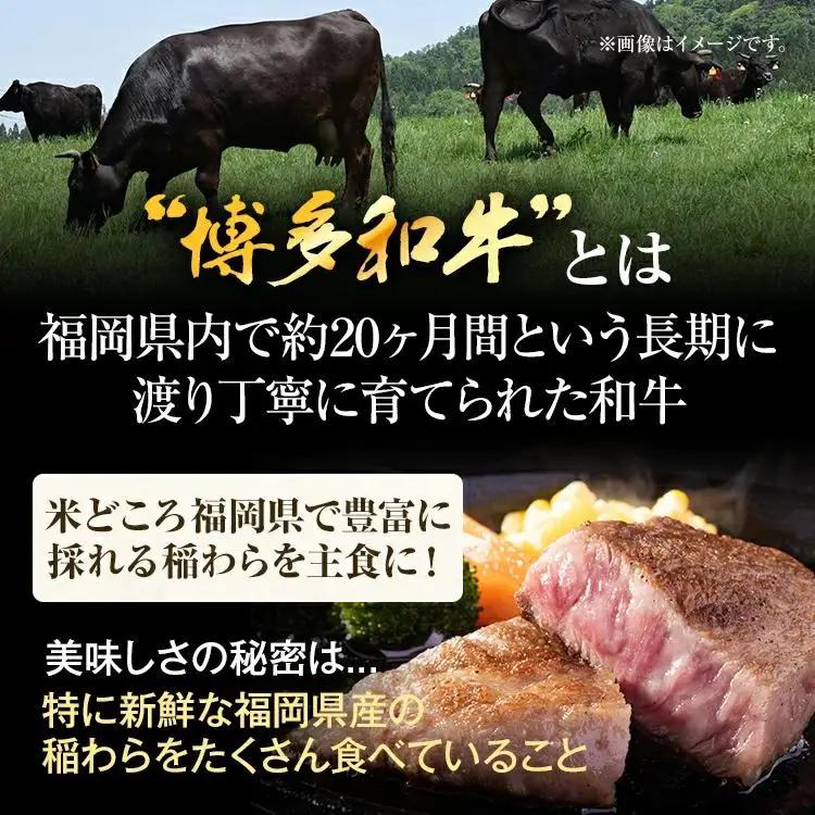 【厳選希少部位】【A4～A5】博多和牛ミスジステーキ 約500g 黒毛和牛 お取り寄せグルメ お取り寄せ お土産 九州 福岡土産 取り寄せ グルメ MEAT PLUS CP044