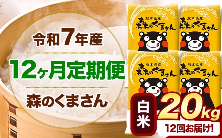 
            【12ヶ月定期便】 令和7年産 白米  森のくまさん 20kg 5kg×4袋  《お申し込みの翌月から出荷》 熊本県産 白米 精米 米 こめ コメ お米 kome
          