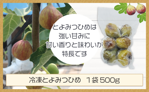 福岡県産いちじく「とよみつひめ」　冷凍パック1kg（500g×2袋）[G2326]