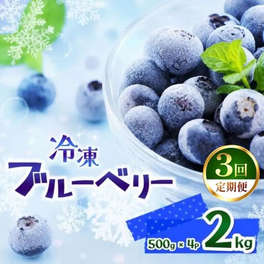 【定期3回】完熟 冷凍ブルーベリー 約 2kg