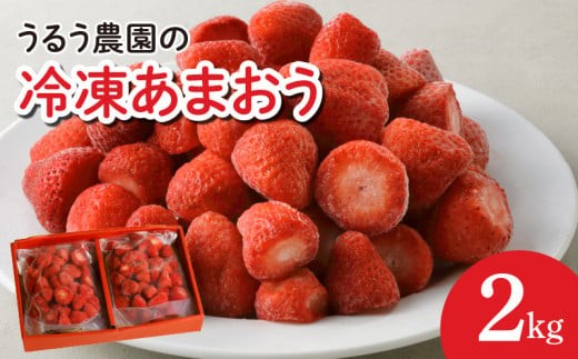 
うるう農園の冷凍あまおう2kg
