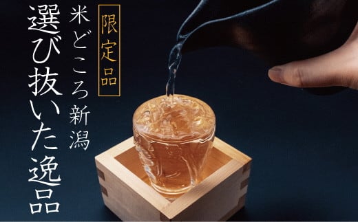 特選日本酒頒布会【お試し】1,800ML×1本 地酒 飲み比べ 新潟 糸魚川 一升瓶（純米 加賀の井 謙信 月不見の池 根地男山 雪鶴 ふるさと納税限定 無濾過 生酒）