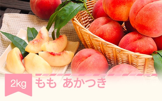 
            【先行予約】もも 桃 あかつき 約2kg 令和8年産 2026年産 果物 ※沖縄・離島への配送不可  mm-moatx2
          