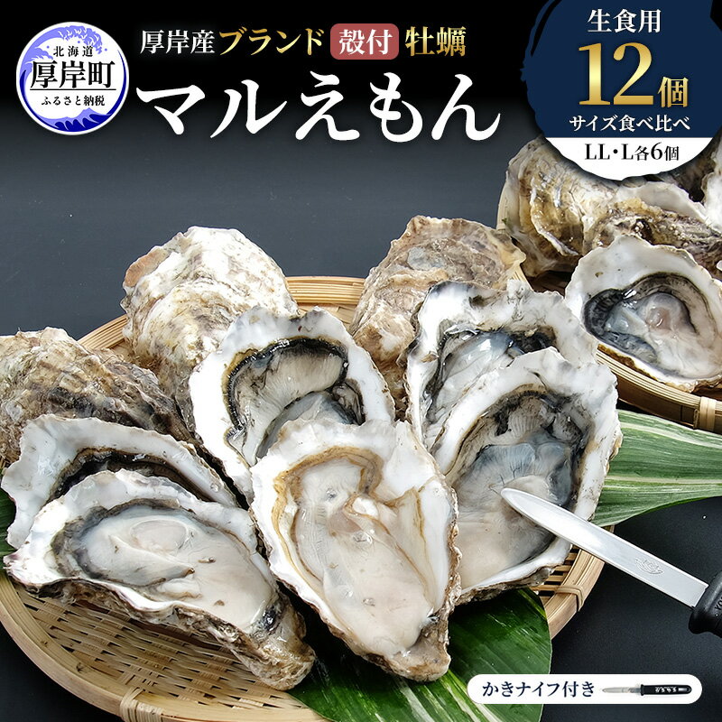 【ふるさと納税】厚岸産 ブランド 殻付カキ マルえもん 生食用 サイズ食べ比べ 12個 (LL・L各6個)[ 魚貝類 生牡蠣 かき 牡蠣 カキ 生ガキ 食べ比べ ]　お届け：※12月20日～1月8日配送不可