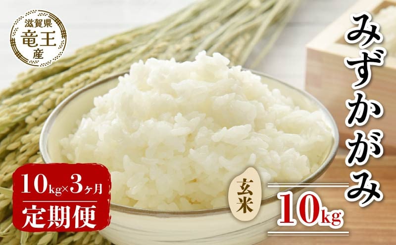
            【 先行予約 】 令和7年産 新米 予約 玄米 10kg 定期便 3ヶ月 みずかがみ 定期 3か月  10kg × 3回 計 30kg 米 滋賀県 竜王町 国産 農家直送 特別栽培米 ミズカガミ  2025年産 国産 農家直送 環境こだわり お米 こめ おこめ 産地直送 送料無料 滋賀県 竜王町 ふるさと納税
          