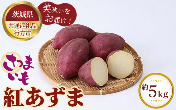 
            さつまいも　紅あずま　約5kg【茨城県共通返礼品 行方市】 ／ 旬 新鮮 さつま芋 サツマイモ 野菜 茨城県 特産品 No.330
          