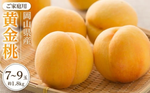 
            桃 2026年 ご家庭用 おかやま の 黄金桃 約1.8kg（7～9玉）【黄金桃 おうごんとう 桃 もも 岡山県産 国産 フルーツ 果物 新鮮 おすすめ 人気 岡山県 岡山市 国産 】
          